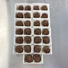 Two Belgian Chocolate Wedding Favours